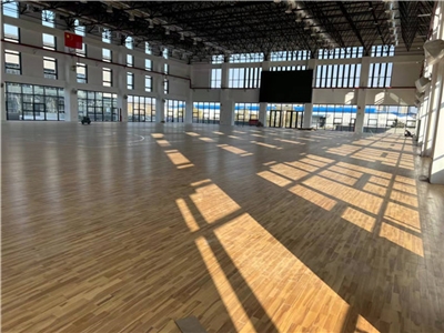 六安皖西卫生学院