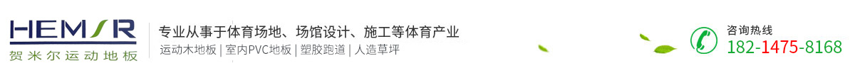 安徽实阳体育设施工程有限公司